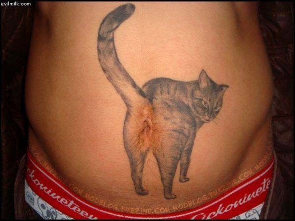 Galerie tetov n Tetov n Brutal Cat Tattoo