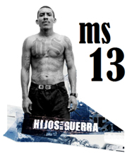 MS-13